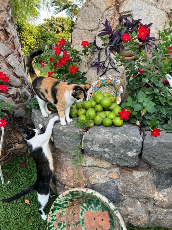 La Capanna Di Giuseppe E Maria Bed & Breakfast Taormina Dış mekan fotoğraf